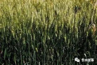 75933FE1-77C7-4FDC-8738-FB5C01B1AFCF 75933FE1-77C7-4FDC-8738-FB5C01B1AFCF