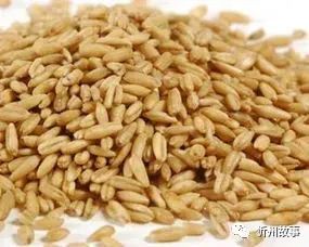 6791AB81-408F-4733-98DA-767FF57EB5CF 6791AB81-408F-4733-98DA-767FF57EB5CF